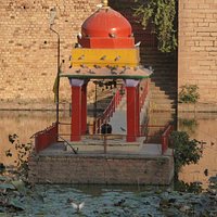 The small shrine near the centre of the pond