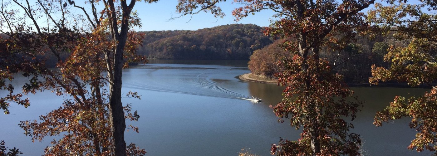 View of the lake from the restaurant