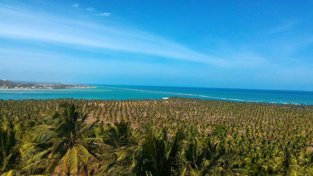 alagoas mirante do gunga