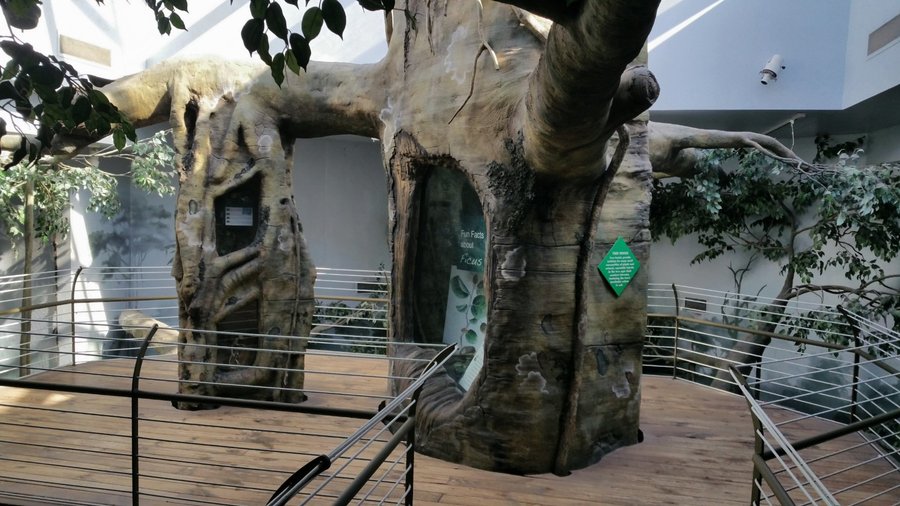 Inside live animals