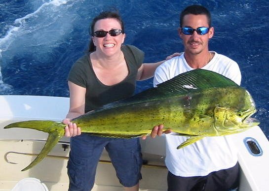 Miami Deep Sea Fishing Charters aboard Old Hat