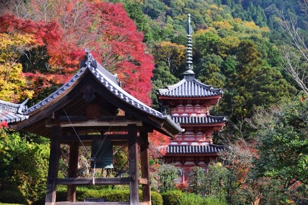 宇治 2025: 行く前に！見どころをチェック - トリップアドバイザー