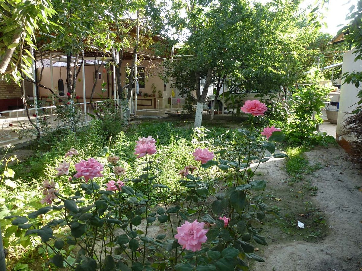 GUEST HOUSE CBT SONYA (Ош) - отзывы и фото - Tripadvisor