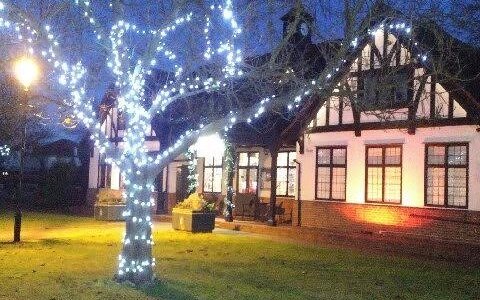 Festive lighting in the park