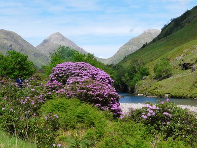 Scottish Highlands 2023: Best Places to Visit - Tripadvisor