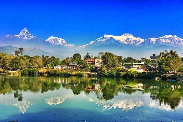 Limpia Alfombras – Tienda Pokhara