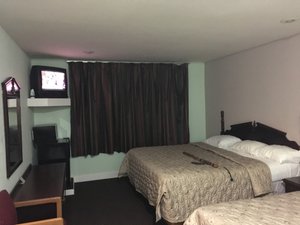 Room & Suite