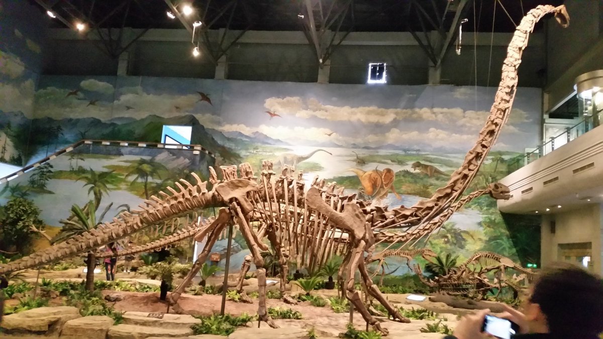 Zigong Dinosaur Museum: лучшие советы перед посещением - Tripadvisor