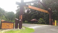 Rimba Bandar Bukit Bauk (Dungun) - All You Need to Know BEFORE You Go