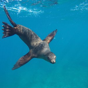 eco baja tours reviews