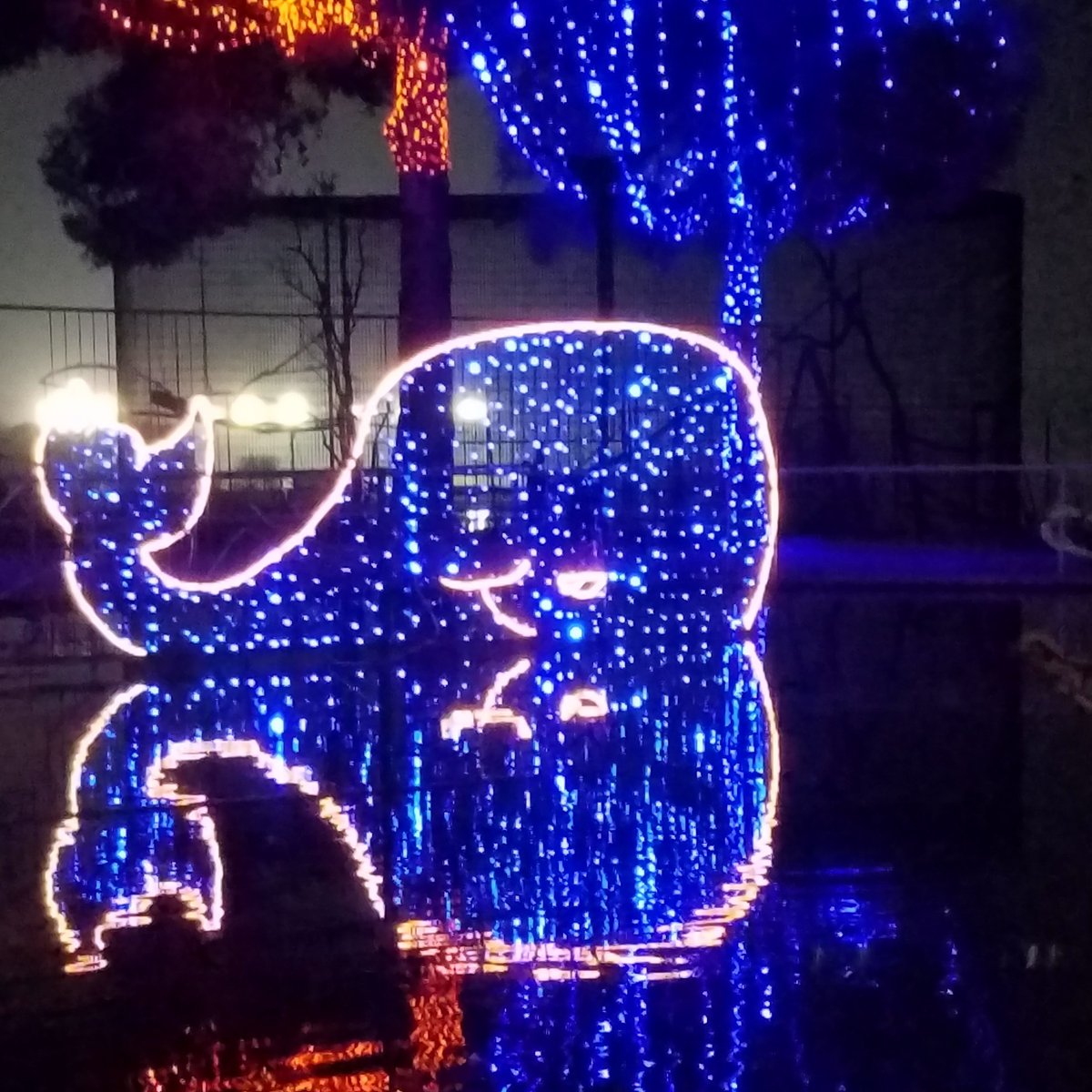 Best Volunteer Opportunities Murrieta Area Christmas Break 2022 California Area Living Museum (Calm) (Bakersfield) - 2022 All You Need To  Know Before You Go (With Photos) - Bakersfield, Ca | Tripadvisor