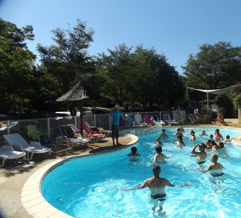 Avis et photos de bar ou lounge de l Sun Camping Tripadvisor