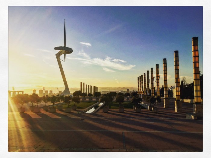 Imagen 8 de Palau Sant Jordi