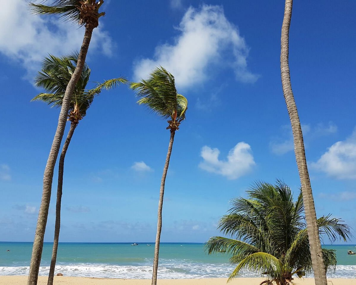 Praia do Cajueiro (Touros) - ATUALIZADO 2023 O que saber antes de ir - Sobre o que as pessoas estão falando - Tripadvisor Praia do Cajueiro (Touros) - ATUALIZADO 2023 O que saber antes de ir - Sobre o que as pessoas estão falando - Tripadvisor