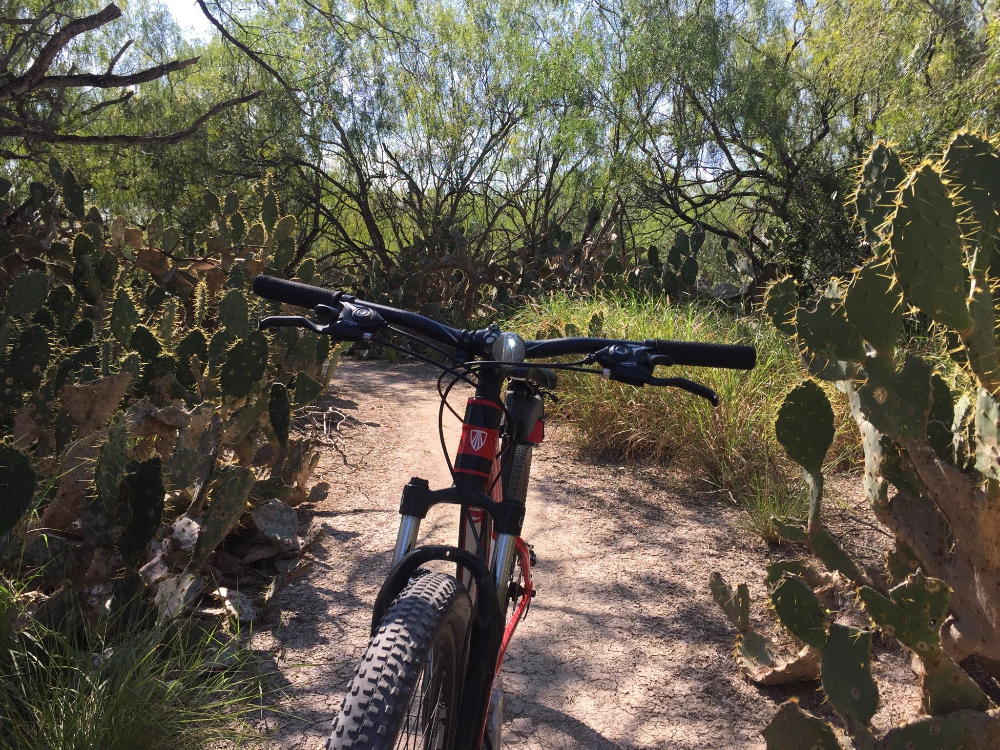 Mission trails store mountain biking