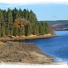 Things To Do in Kielder Water & Forest Park, Restaurants in Kielder Water & Forest Park