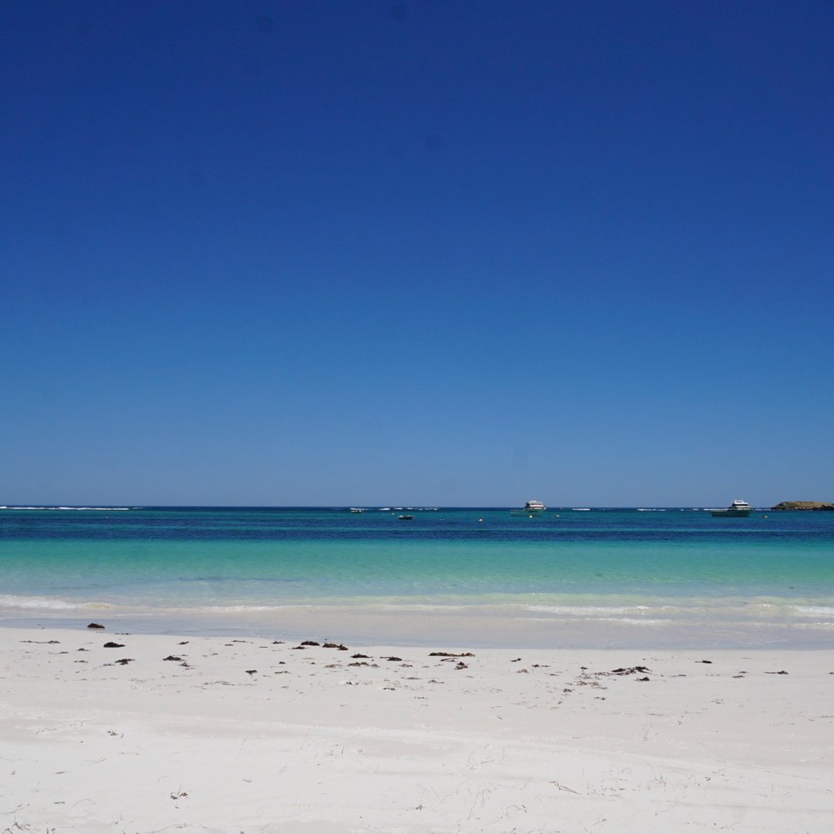 Back Beach Lancelin 2021 All You Need To Know Before You Go With Photos Tripadvisor