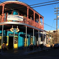Dat Dog on Frenchmen