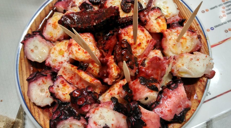 Pulpo