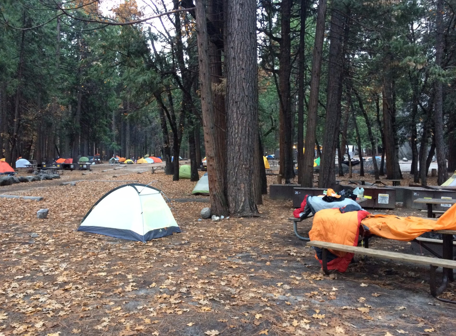 Camp 4 Yosemite Valley by null
