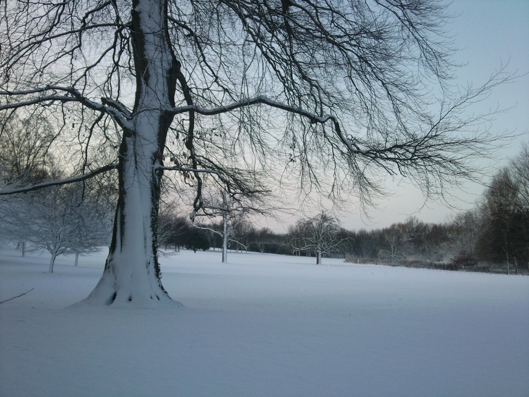 Hotel photo 9 of Hitchin Priory.