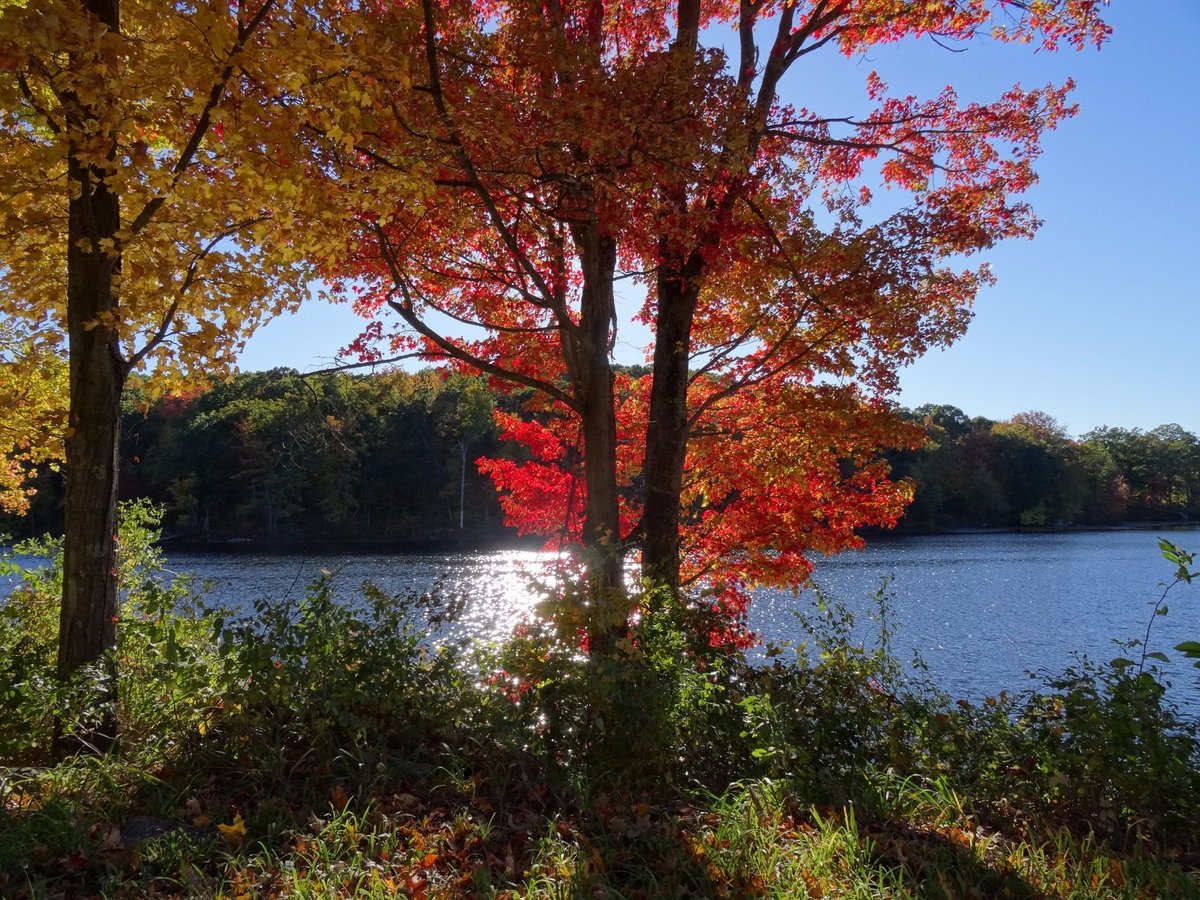 Escape to Nature's Embrace: A Guide to Connecticut's Macedonia Brook State Park