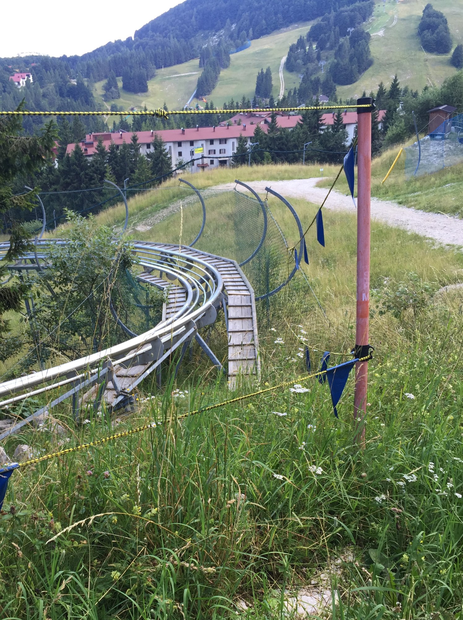 ALPINE COASTER Tutto quello che c da sapere AGGIORNATO