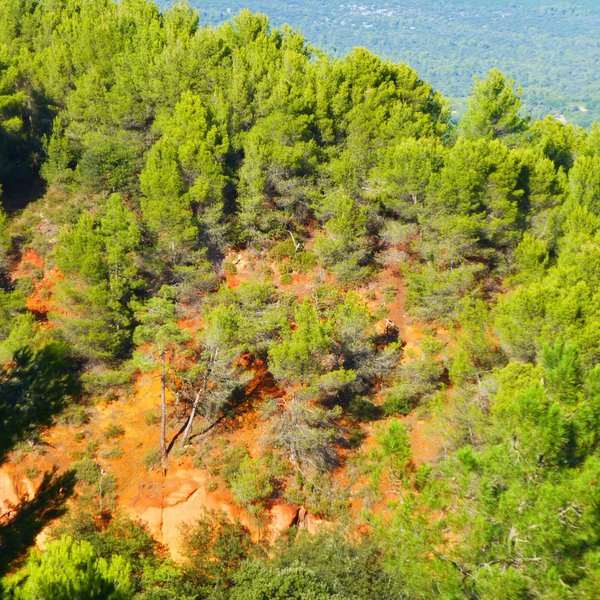 LES 10 MEILLEURES choses à faire à Manosque (2025) Tripadvisor