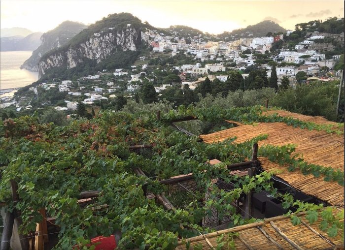 AIANO BED AND BREAKFAST (CAPRI, ITÁLIA) 180 fotos, comparação de preços e avaliações Tripadvisor