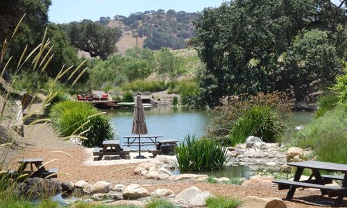 Pence Pond