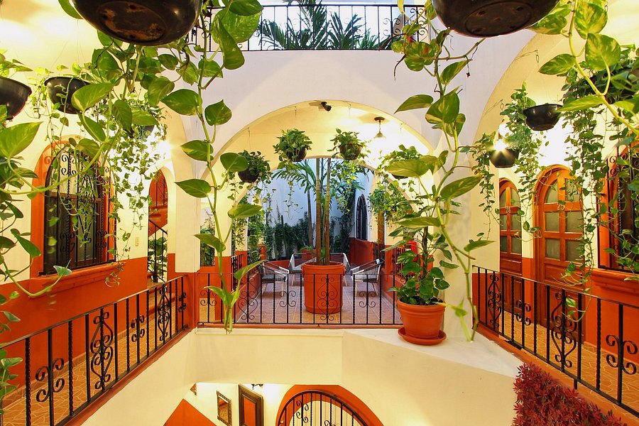 EL PATIO HOTEL & SUITES $29 ($̶3̶7̶) - Prices & Reviews - Riviera Maya ...