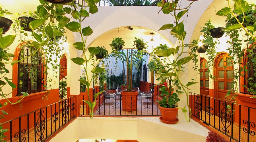 Patio view. 