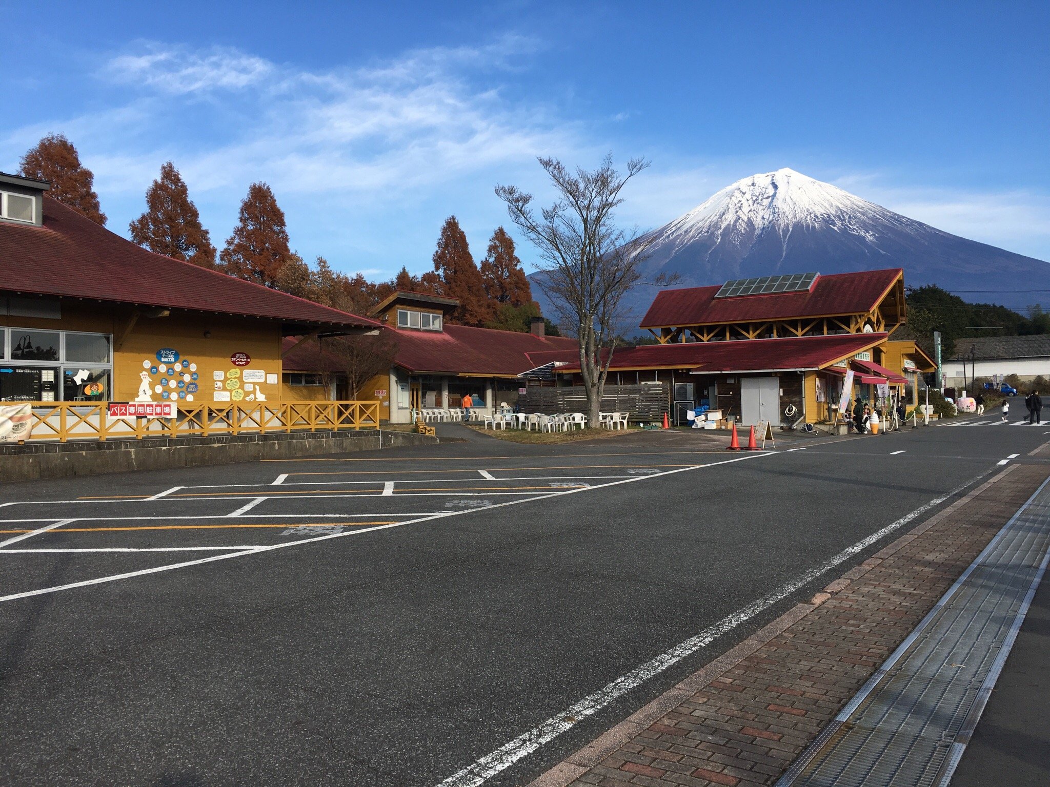 安い 富士ミルクランド 富士ハーネス