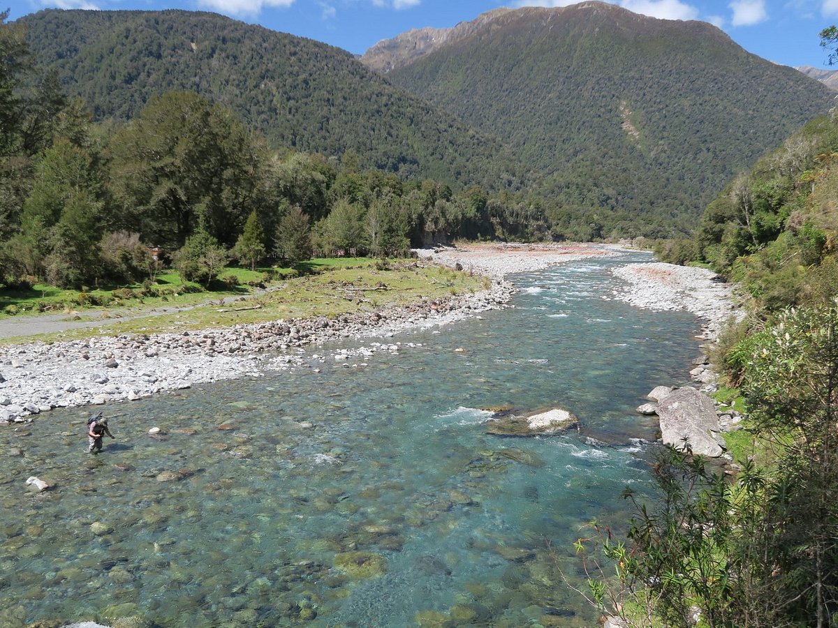 Salmon Fishing - Braided Rivers Fishing Guides  Activity in Christchurch -  Canterbury, New Zealand