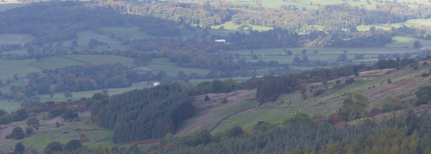 looking North East
