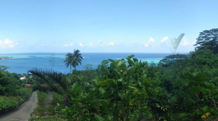 vue depuis Mooréa Tropical Garden