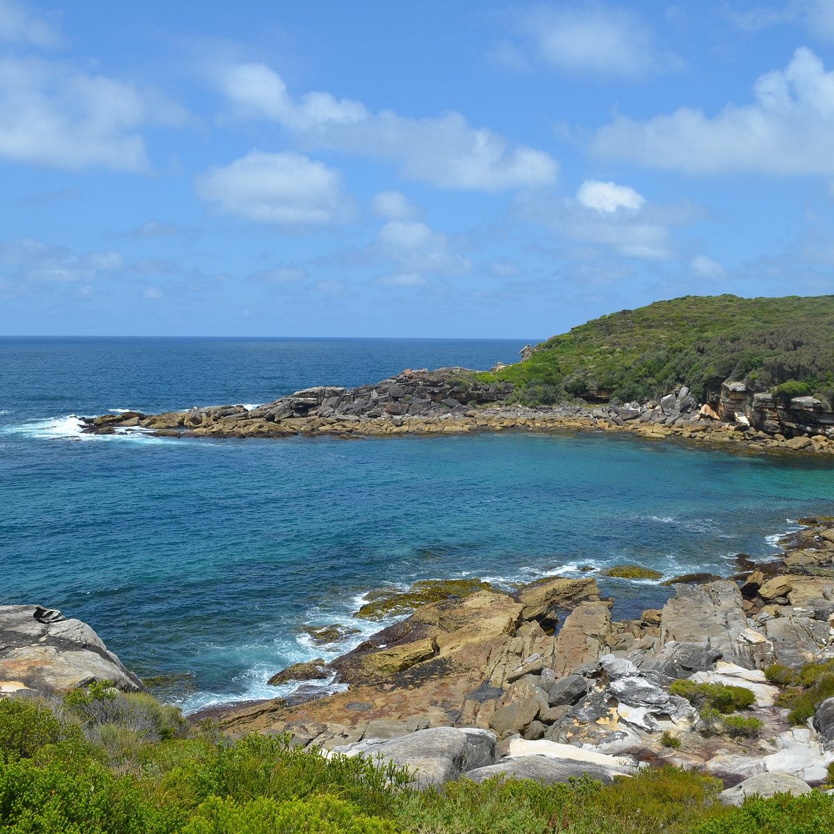 Королевский национальный парк (Royal National Park). Royal National Park.