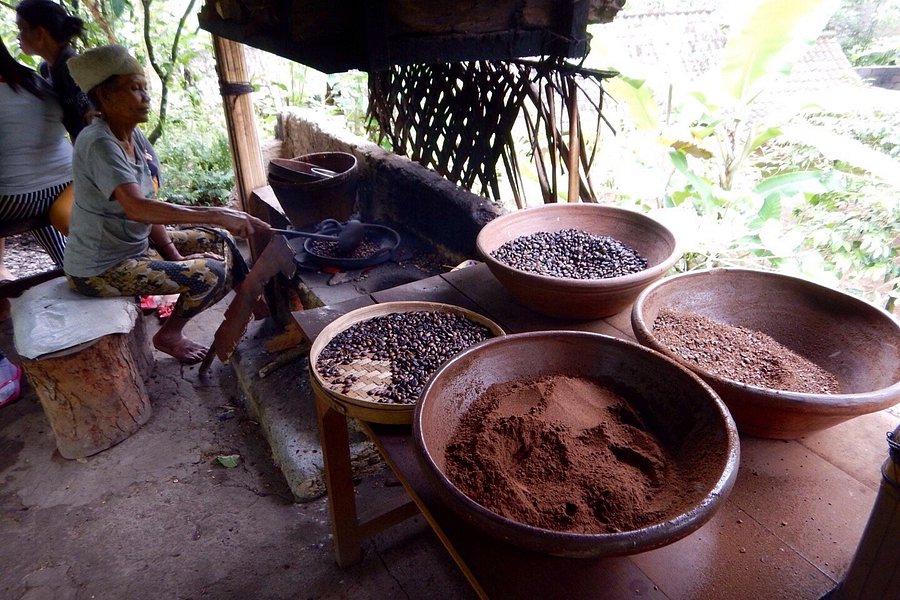ubud coffee plantation tour