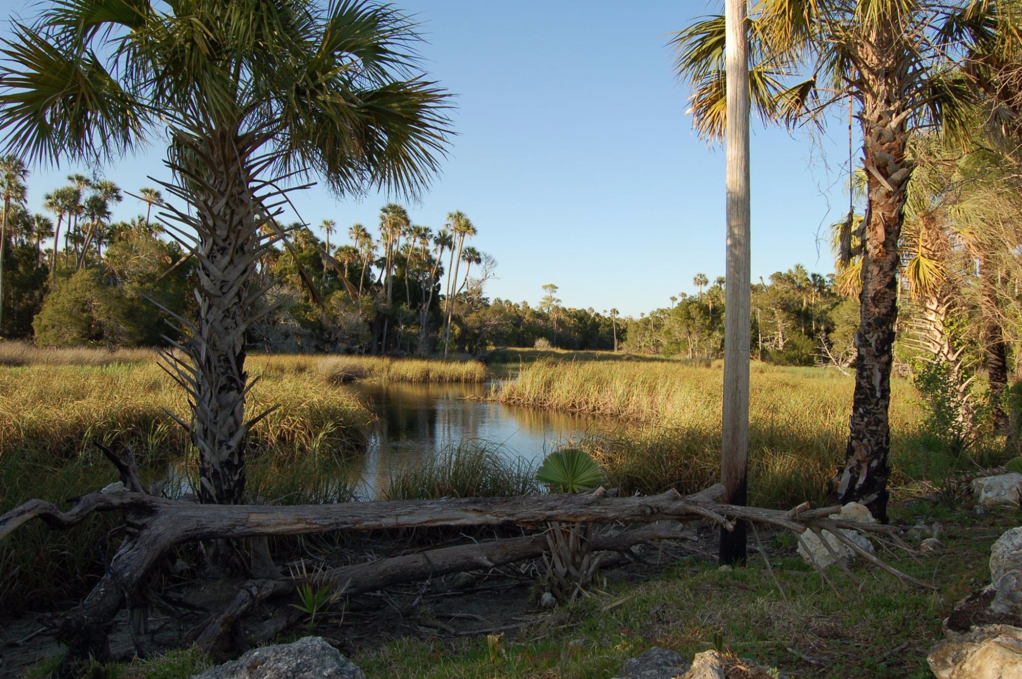 Backpage Crystal River Fl