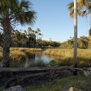 Crystal River National Wildlife Refuge - All You Need to Know BEFORE You Go  (2024)