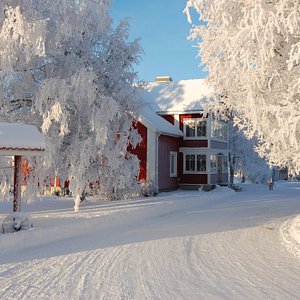 Sörbygården i vinterskrud!