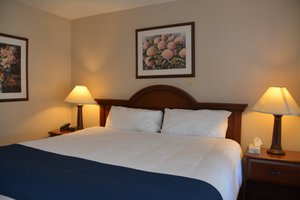 Room & Suite