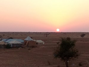 Royal camps. Рыболовство в степи.