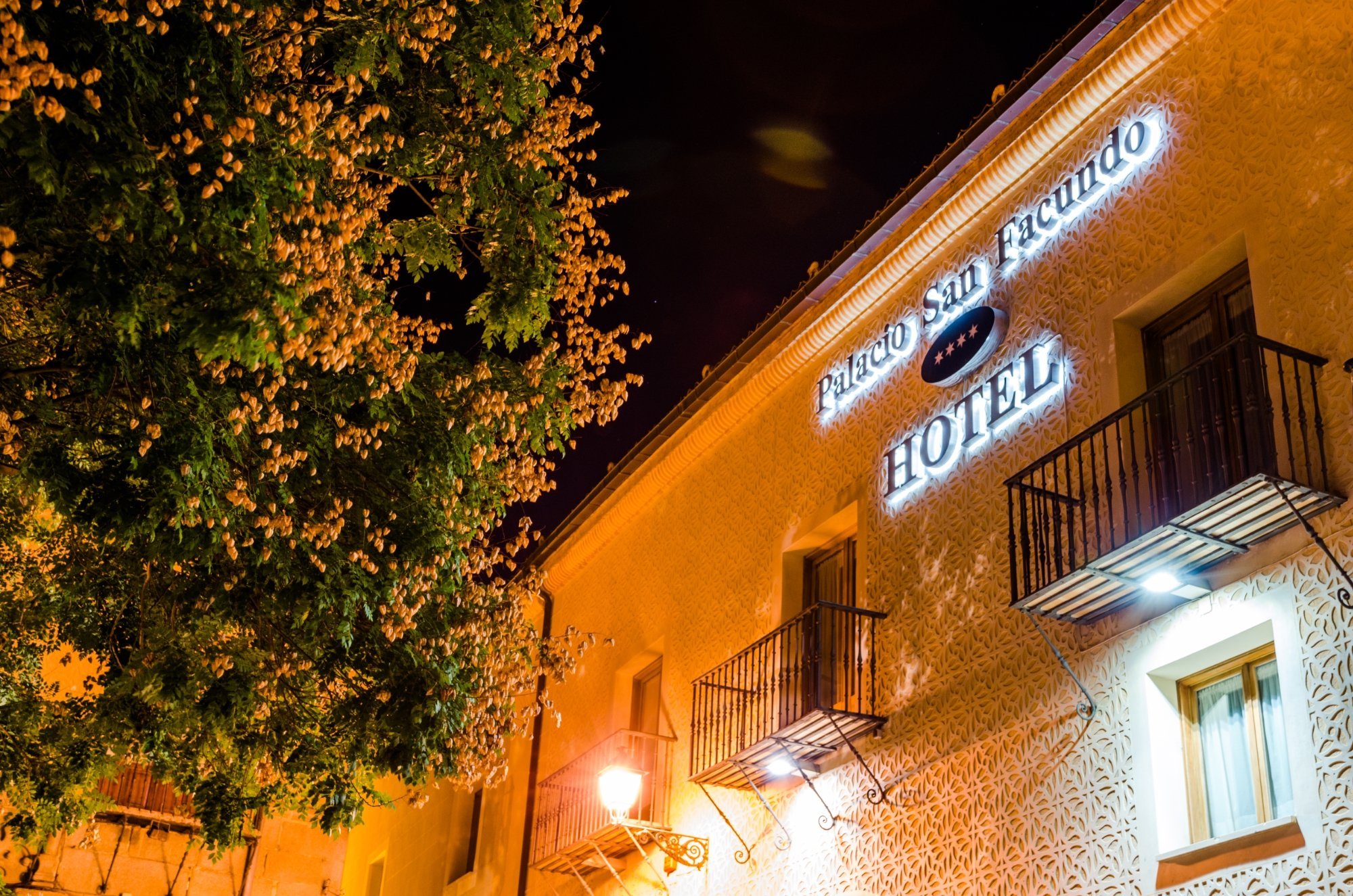 Hostal Palacio San Facundo by null
