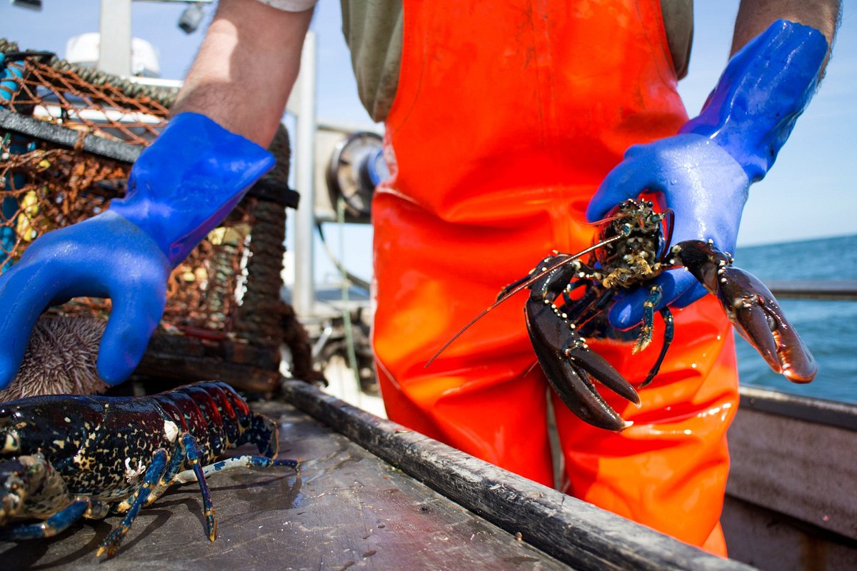 Lulu Lobster Boat, Бар-Харбор: лучшие советы перед посещением - Tripadvisor