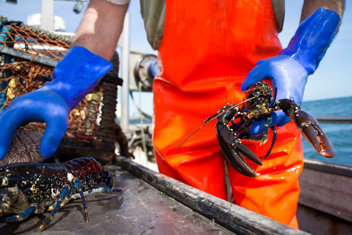 Lulu Lobster Boat, Бар-Харбор: лучшие советы перед посещением - Tripadvisor