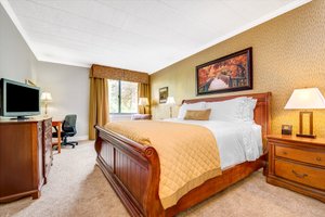 Room & Suite