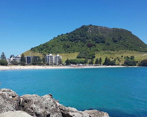 THE 15 BEST Things to Do in Tauranga - 2024 (with Photos