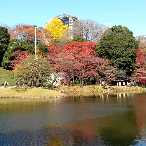 8 giardini giapponesi da visitare a Tokyo in ogni stagione - JAPAN AIRLINES  (JAL)