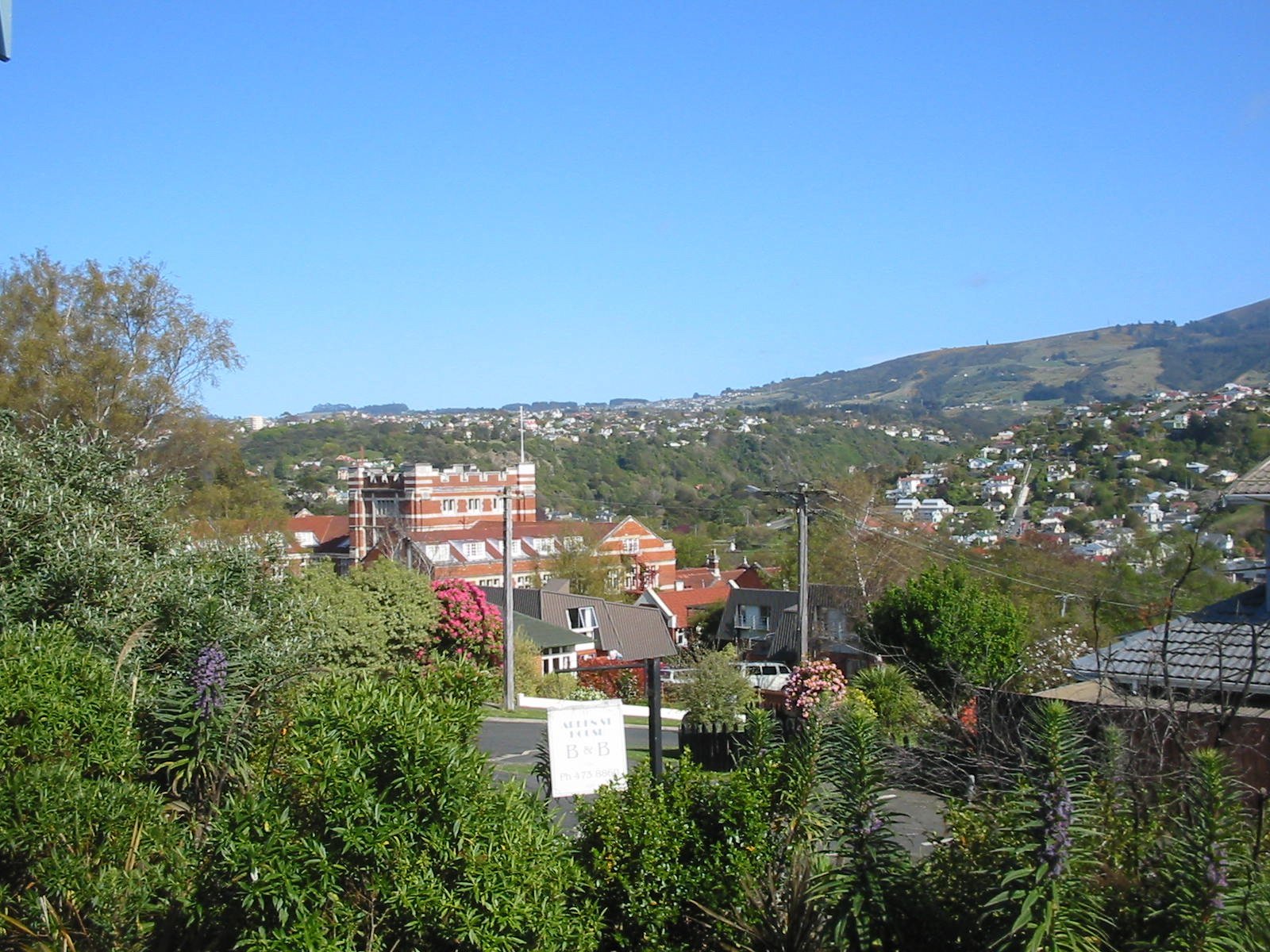 Arden Street House Bed and Breakfast - Dunedin, NZ by null